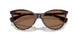 500373 - Brown - Brown