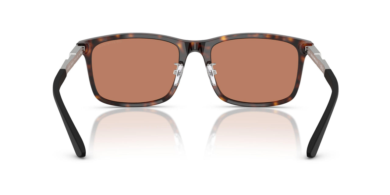 502673 - Tortoise - Brown