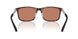 502673 - Tortoise - Brown