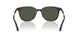 30029A - Tortoise - Polar Solid Green