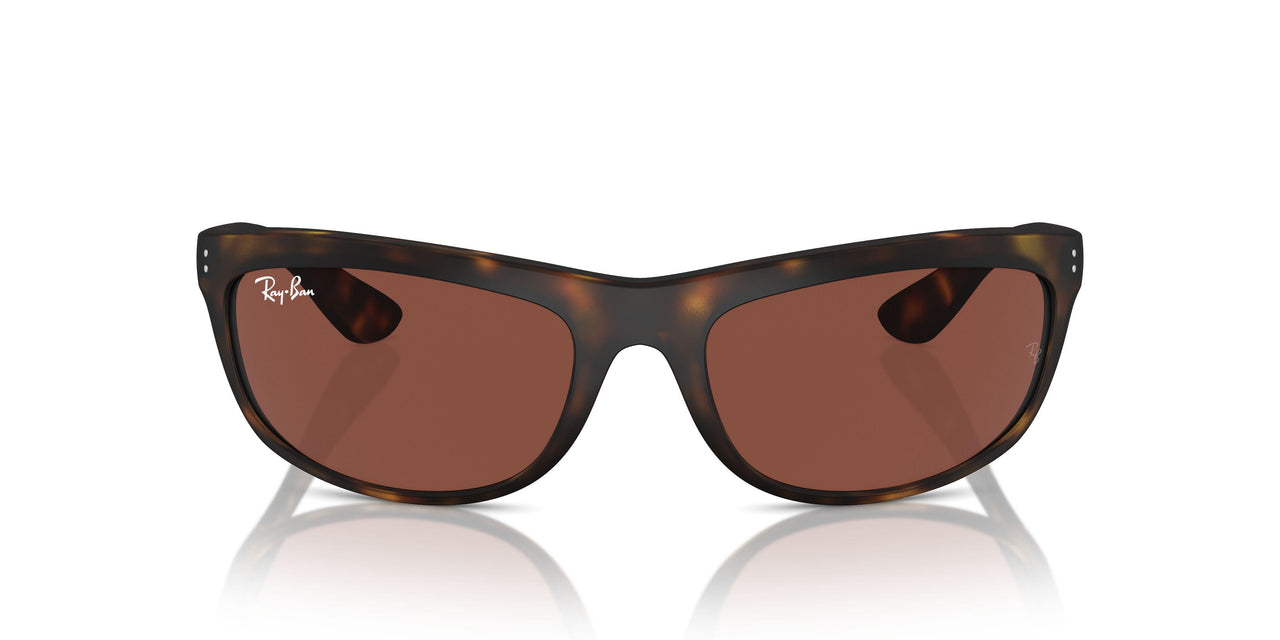 894/C5 - Tortoise - Red