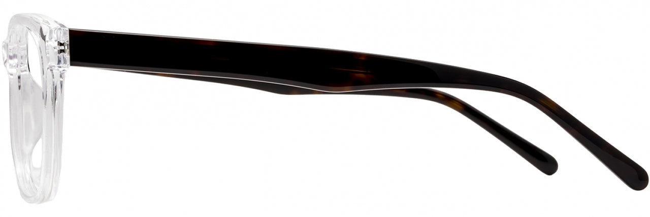 1 - Crystal / Dark Tortoise