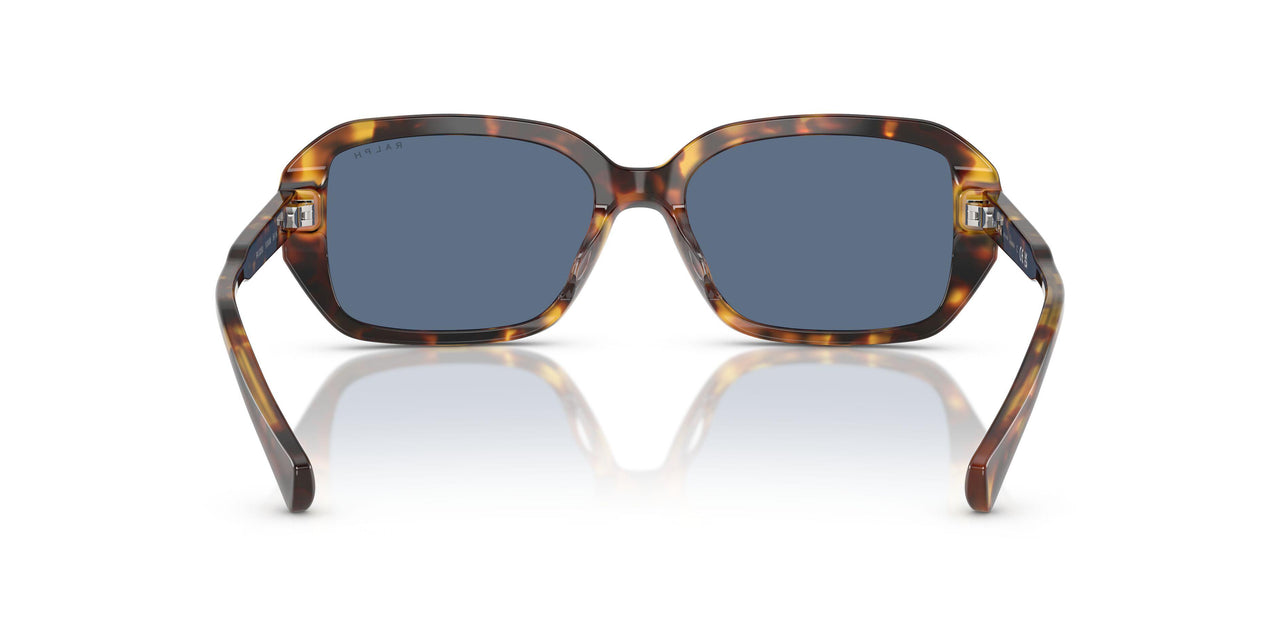 513480 - Tortoise - Dark Blue