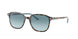 13163M - Brown - Blue