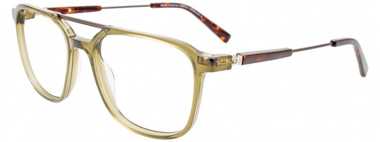 60 - Transparent Khaki & Steel