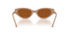 106173 - Beige - Dark Brown
