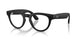 601SSB - Black - Clear