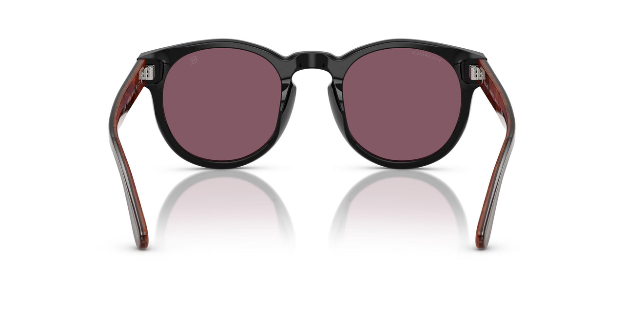53981A - Black - Solid Purple
