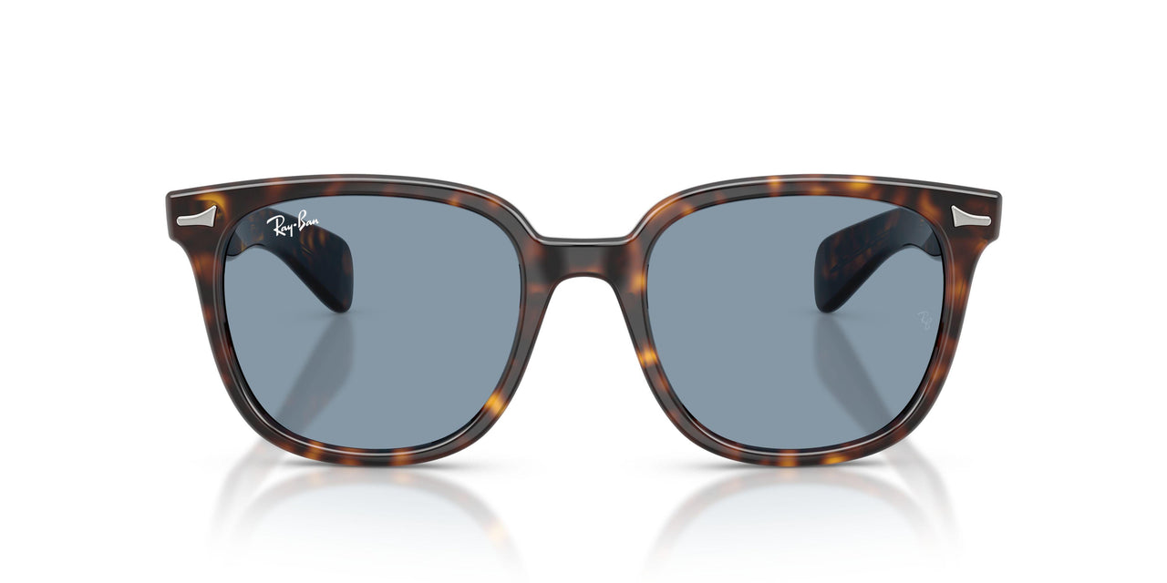 902/56 - Tortoise - Blue