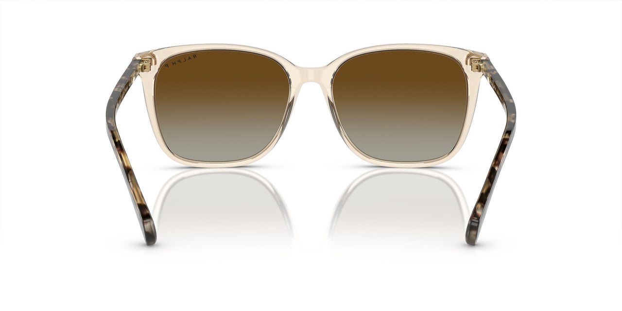 6072T5 - Brown - Polar Gradient Brown