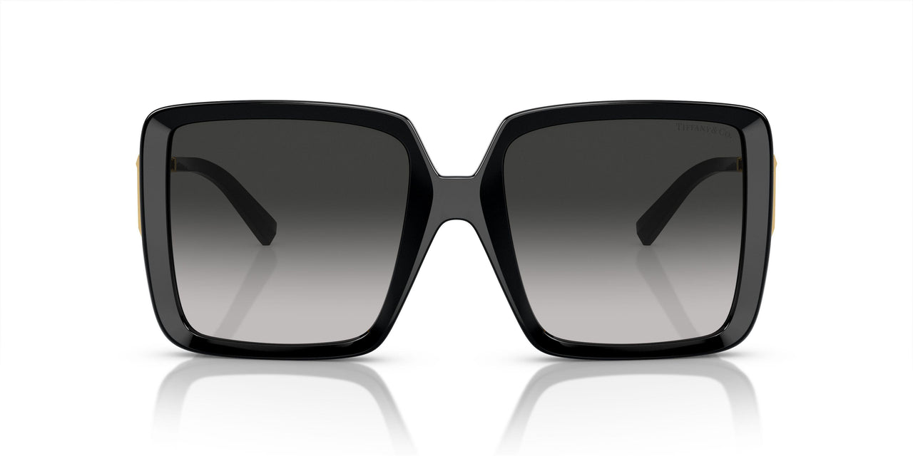80013C - Black - Grey Gradient