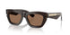 411673 - Brown - Dark Brown