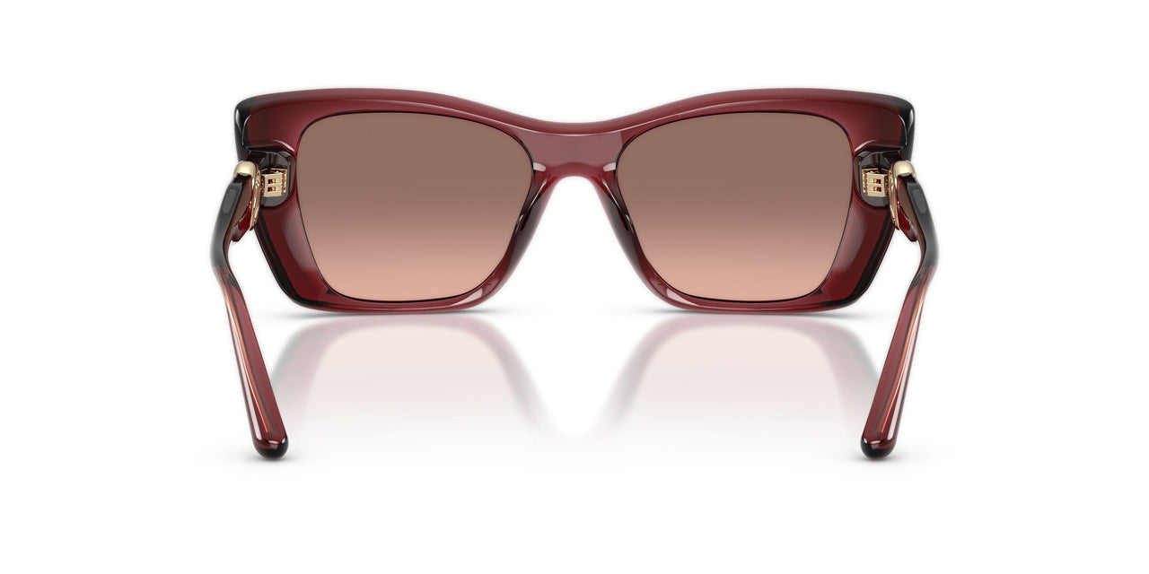 317513 - Brown - Peach