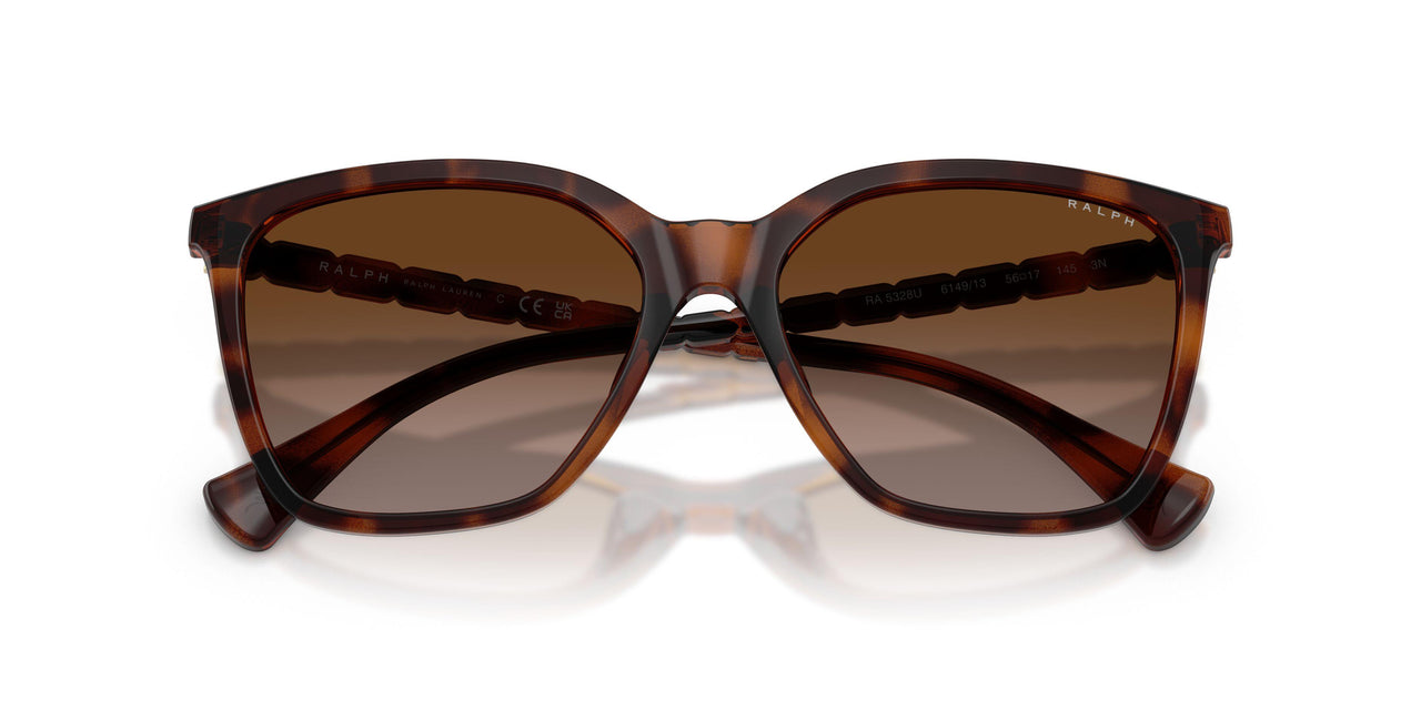614913 - Tortoise - Brown Gradient