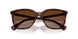 614913 - Tortoise - Brown Gradient