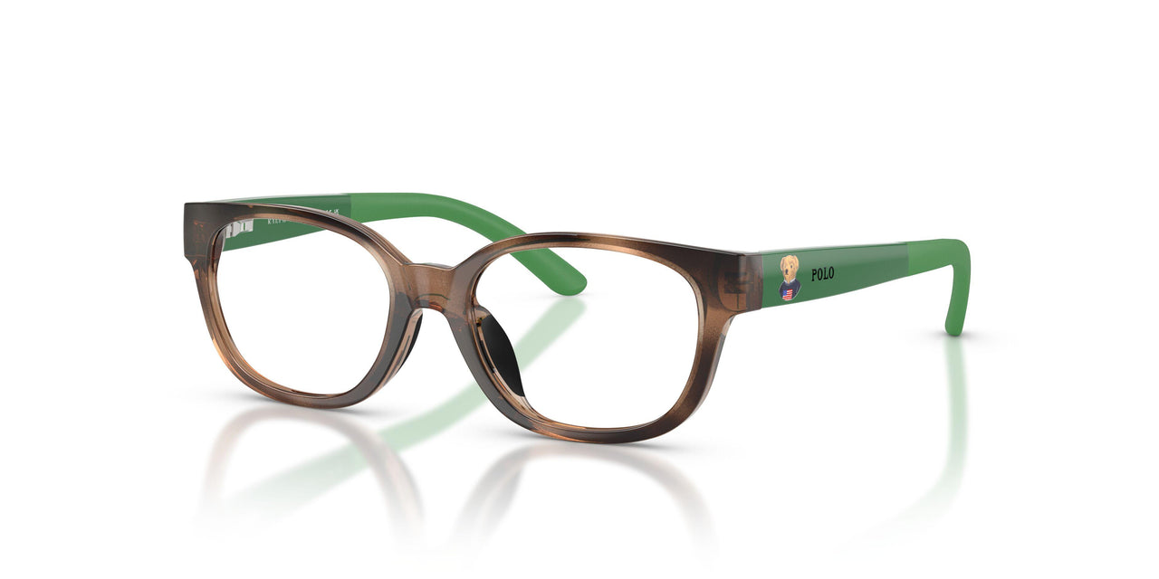 5974 - Tortoise