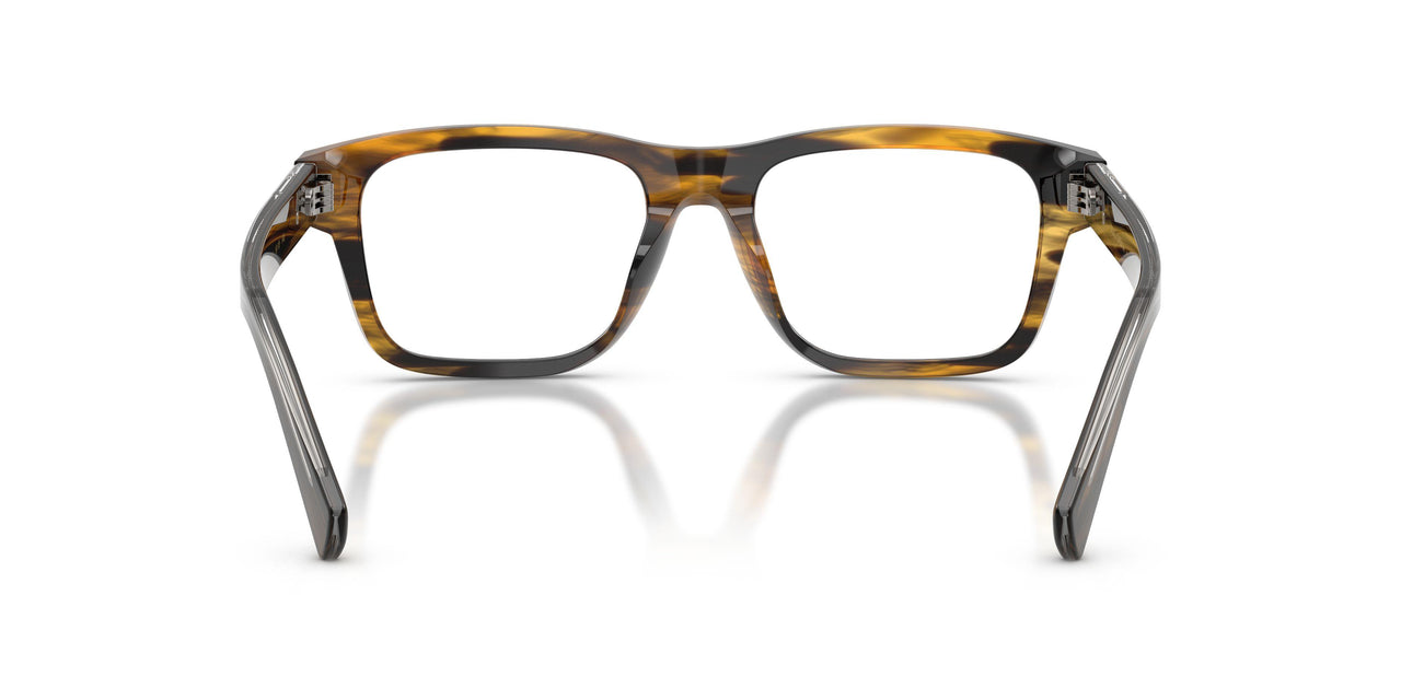 3063 - Tortoise