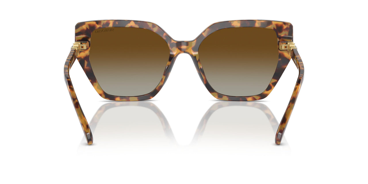 1004T5 - Tortoise - Brown