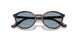 271880 - Brown - Light Blue