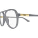 005 - Grey - Transparent