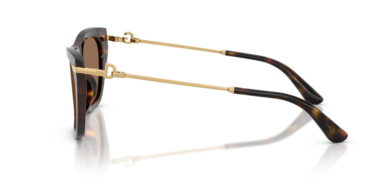 502/73 - Tortoise - Dark Brown