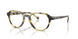 4029L0 - Green - Olive Gradient