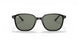 901/58 - Black - Polar Green