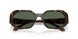 300671 - Tortoise - Green Solid