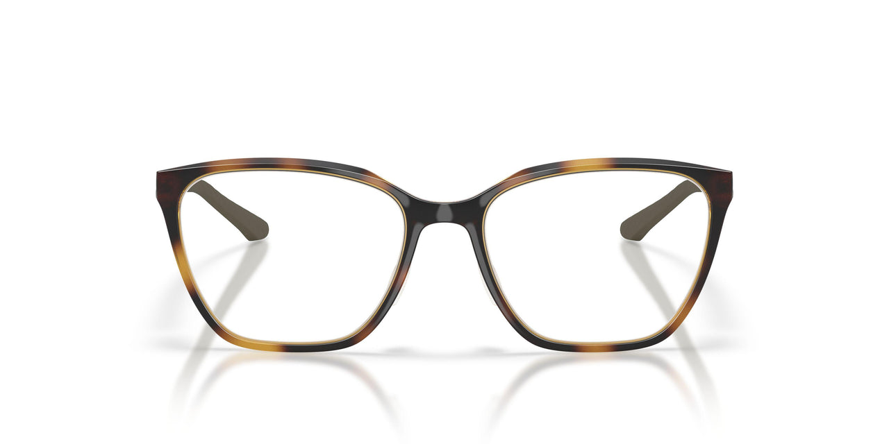 801304 - Tortoise