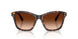100274 - Tortoise - Gradient Brown