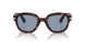 24/56 - Tortoise - Blue