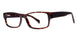 PLASTICS II NTC-1 Eyeglasses