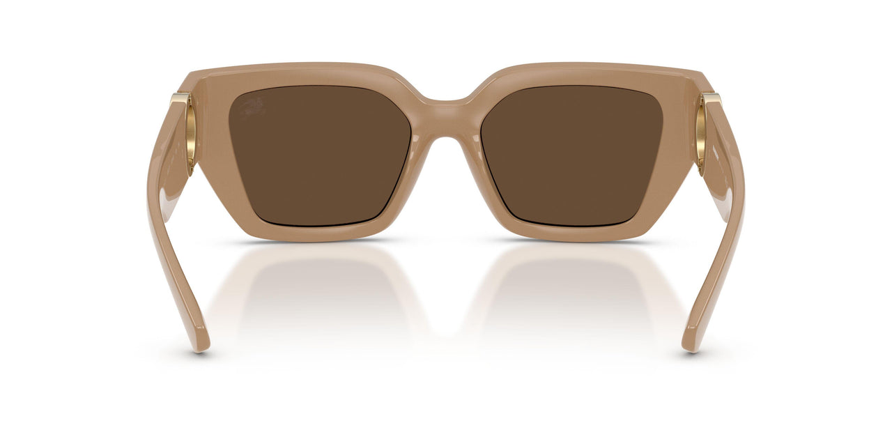 399073 - Beige - Dark Brown