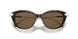 100273 - Tortoise - Dark Brown