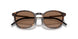 300273 - Tortoise - Brown Solid