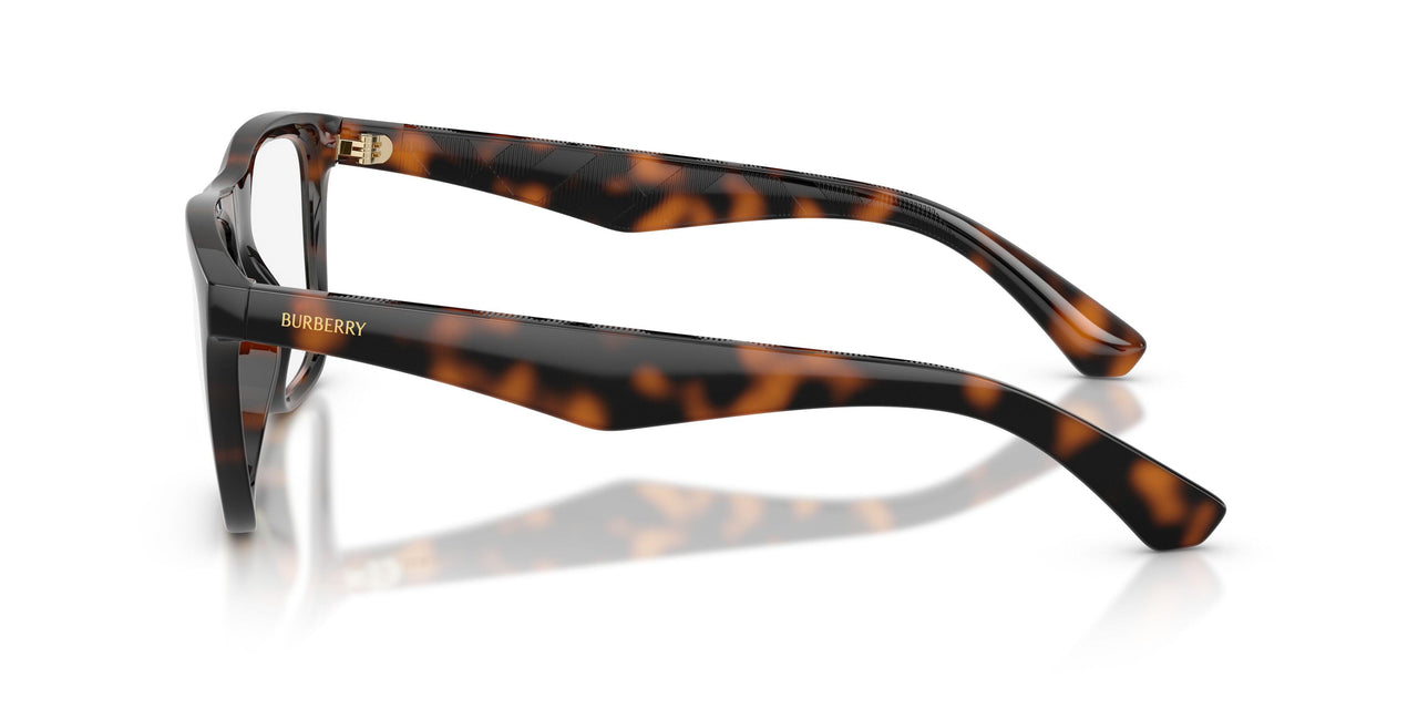 3002 - Brown