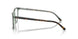 8249 - Brown - Clear