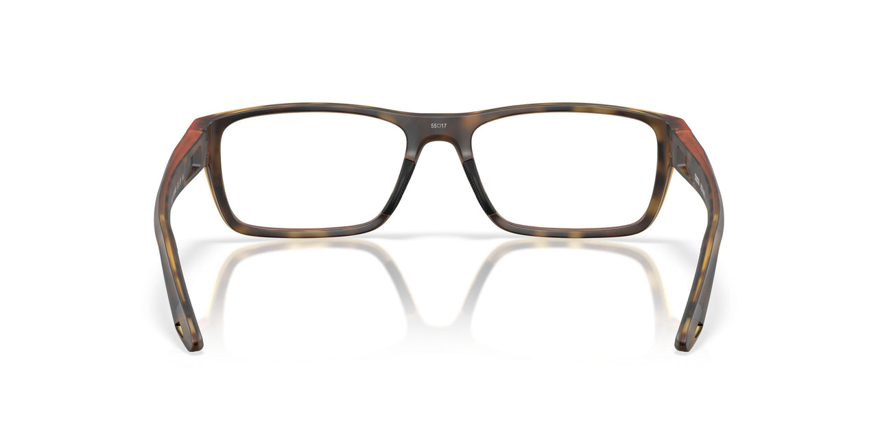 802304 - Tortoise