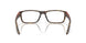 802304 - Tortoise