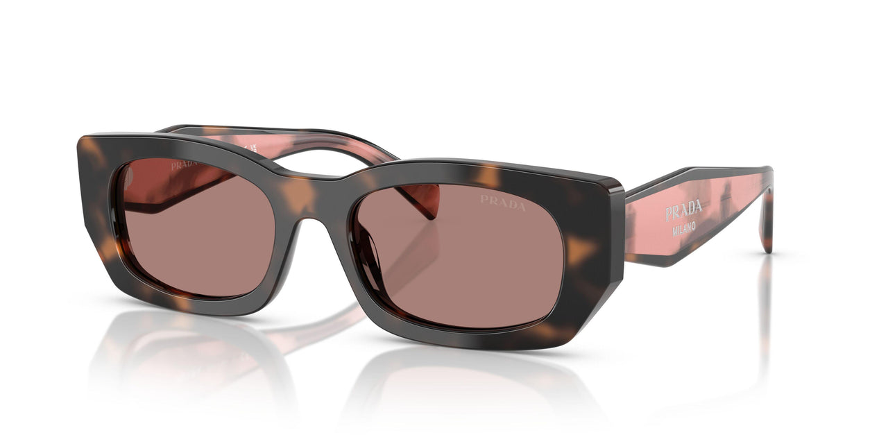 23A60B - Tortoise - Light Brown