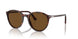 24/57 - Tortoise - Polar Brown