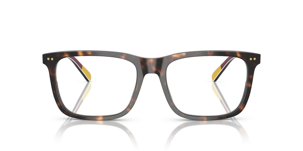 6212 - Tortoise