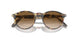 900551 - Tabacco Virginia - Gradient Brown