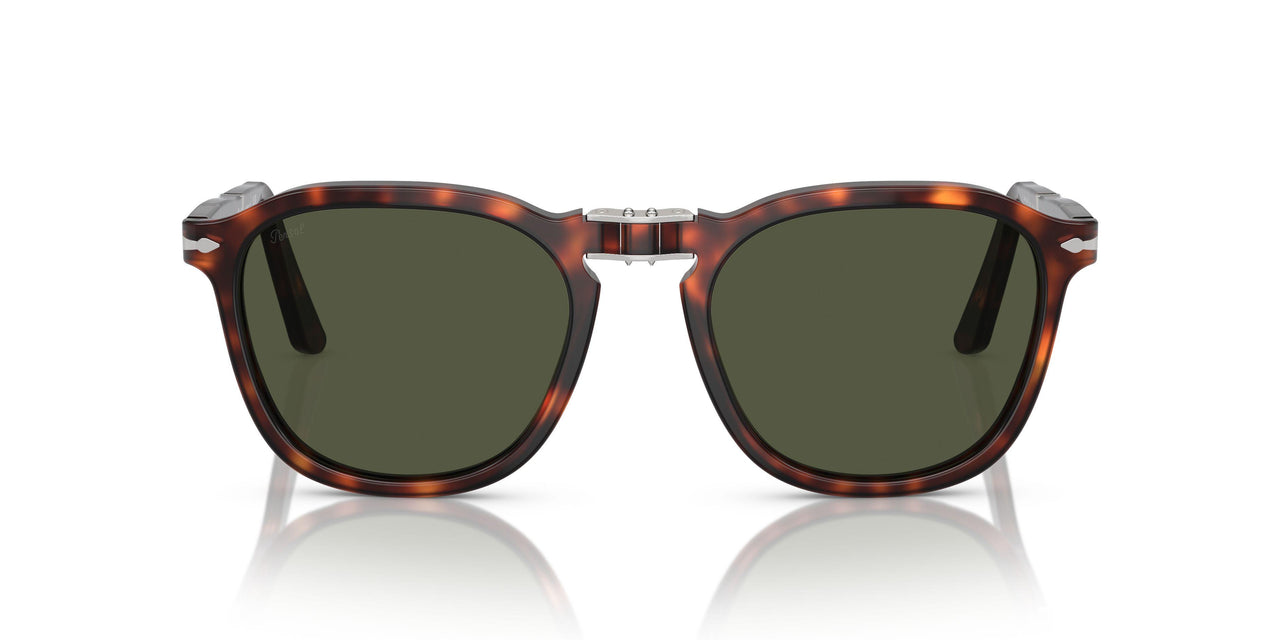 24/31 - Tortoise - Green