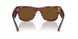954/57 - Havana - Brown Polar