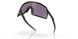 946207 - Black - Prizm Grey