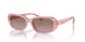 619914 - Pink - Brown Rose