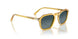 204/S3 - Yellow - Polar Gradient Blue