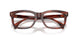 3034 - Tortoise