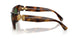 100271 - Tortoise - Dark Green